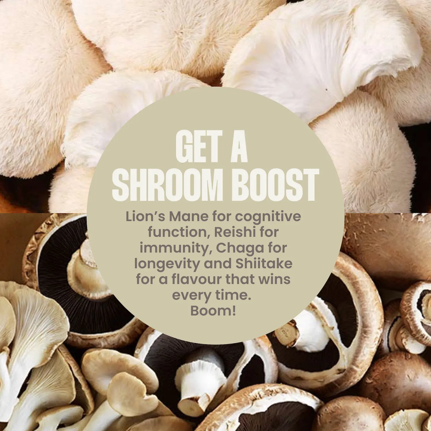 Bone Broth Soup – Mushroom - Image 6