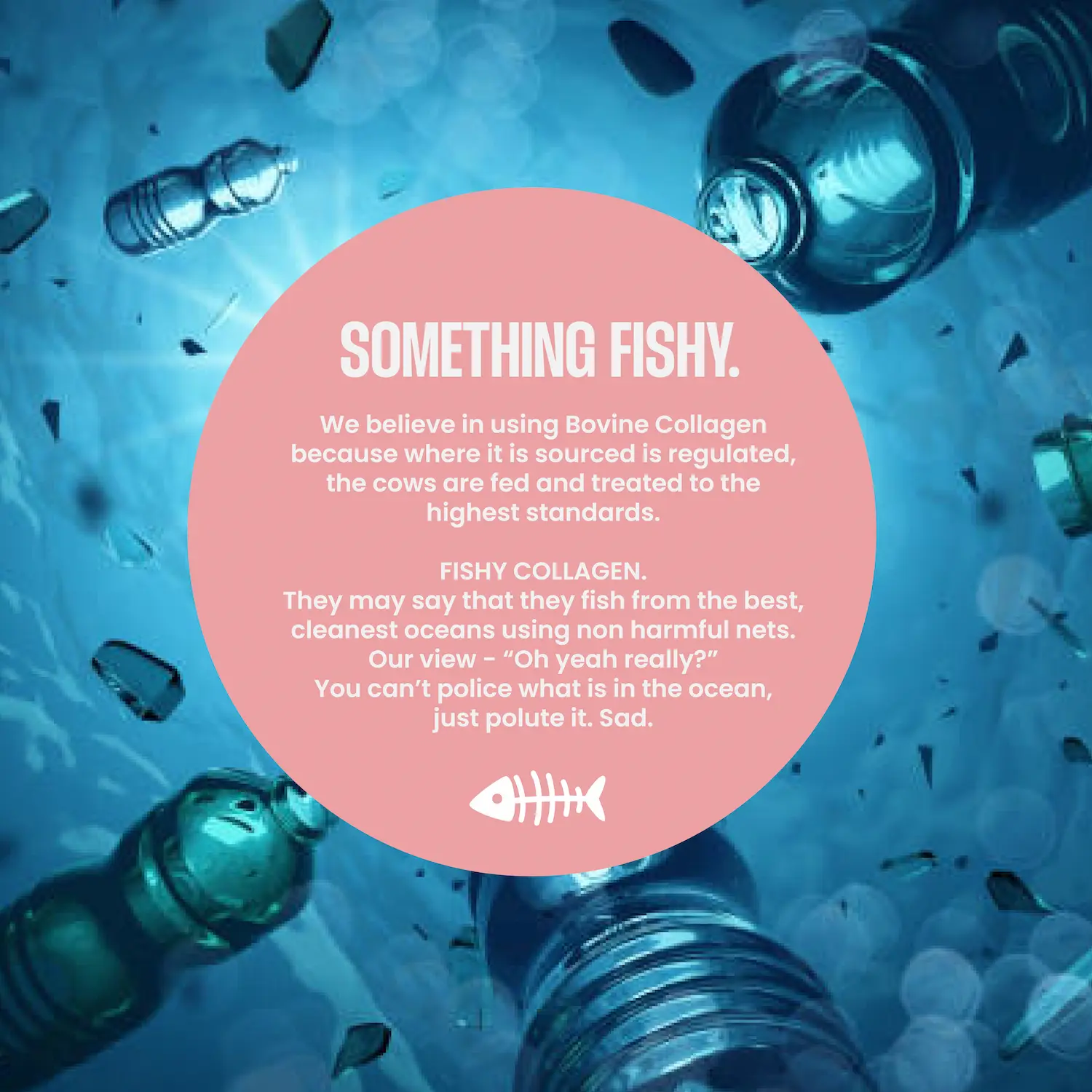 Bovine Collagen Peptides Powder Sachets - Image 7