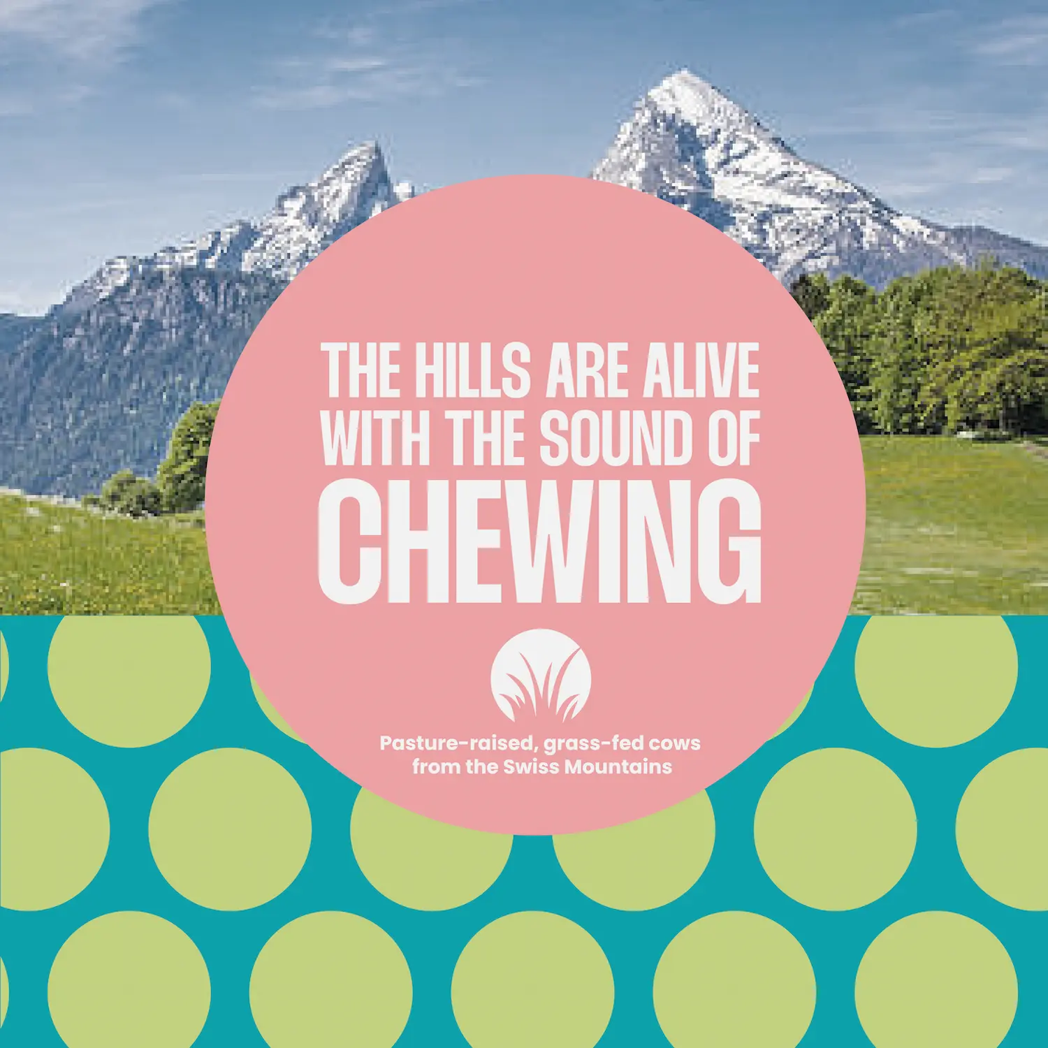 Bovine Collagen Peptides Powder Sachets - Image 4