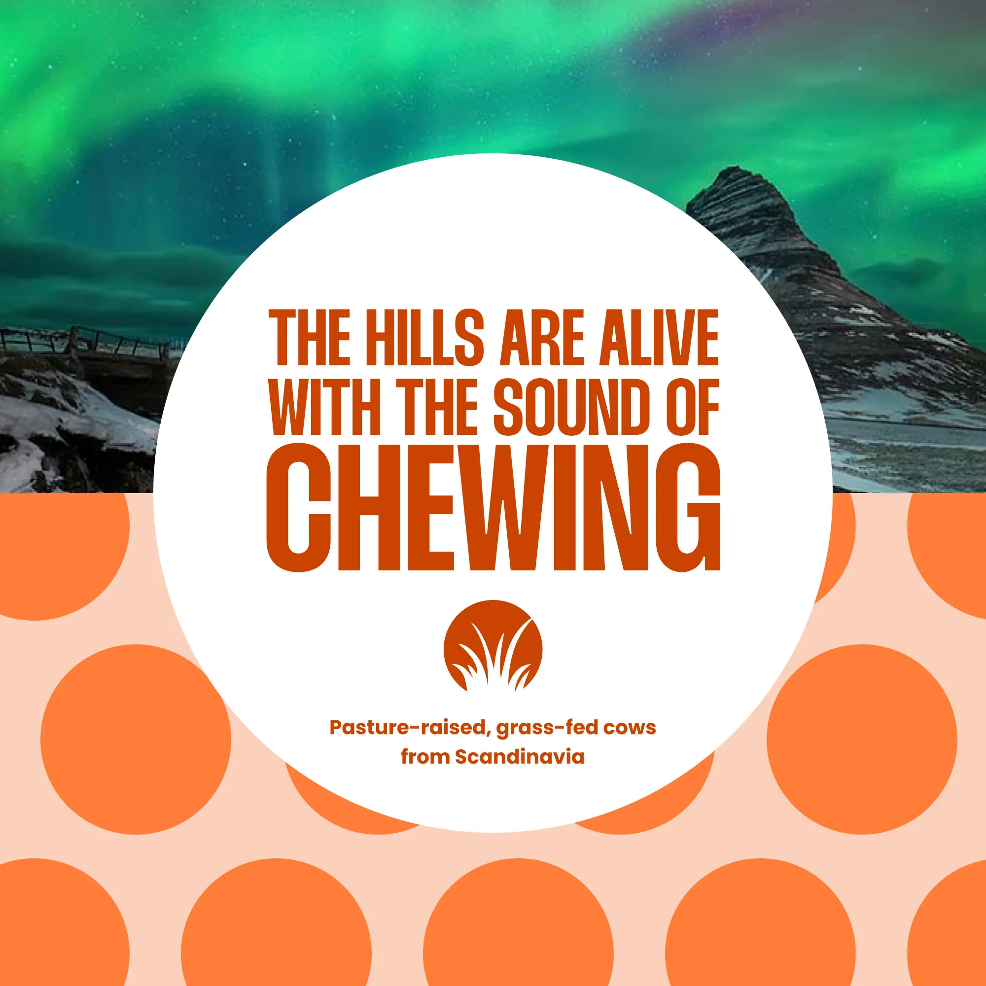 Chocolate Orange Keto Protein Powder - Image 5