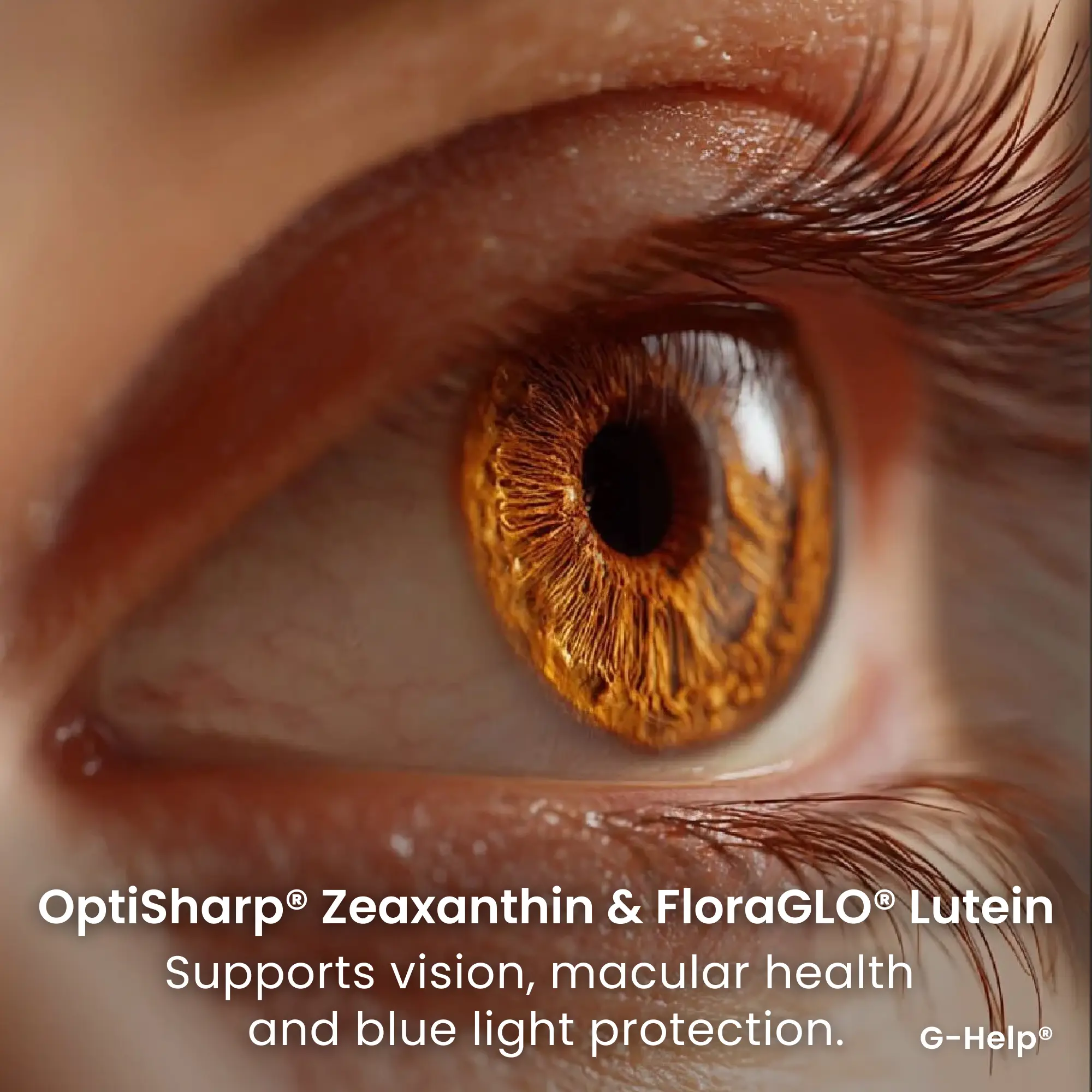 G-Help! Rapid Weight Loss Support - Image 6