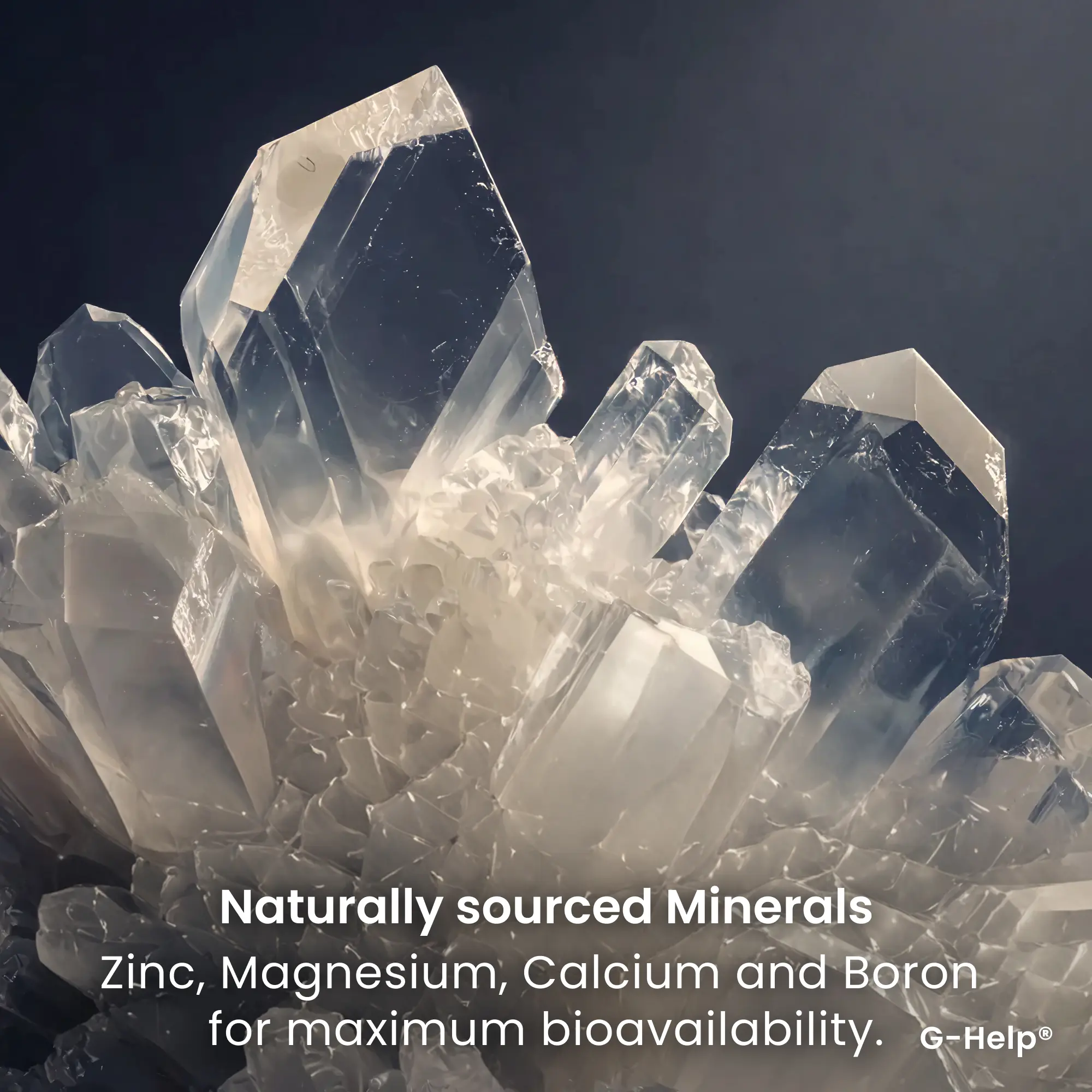 G-Help! Rapid Weight Loss Support - Image 9