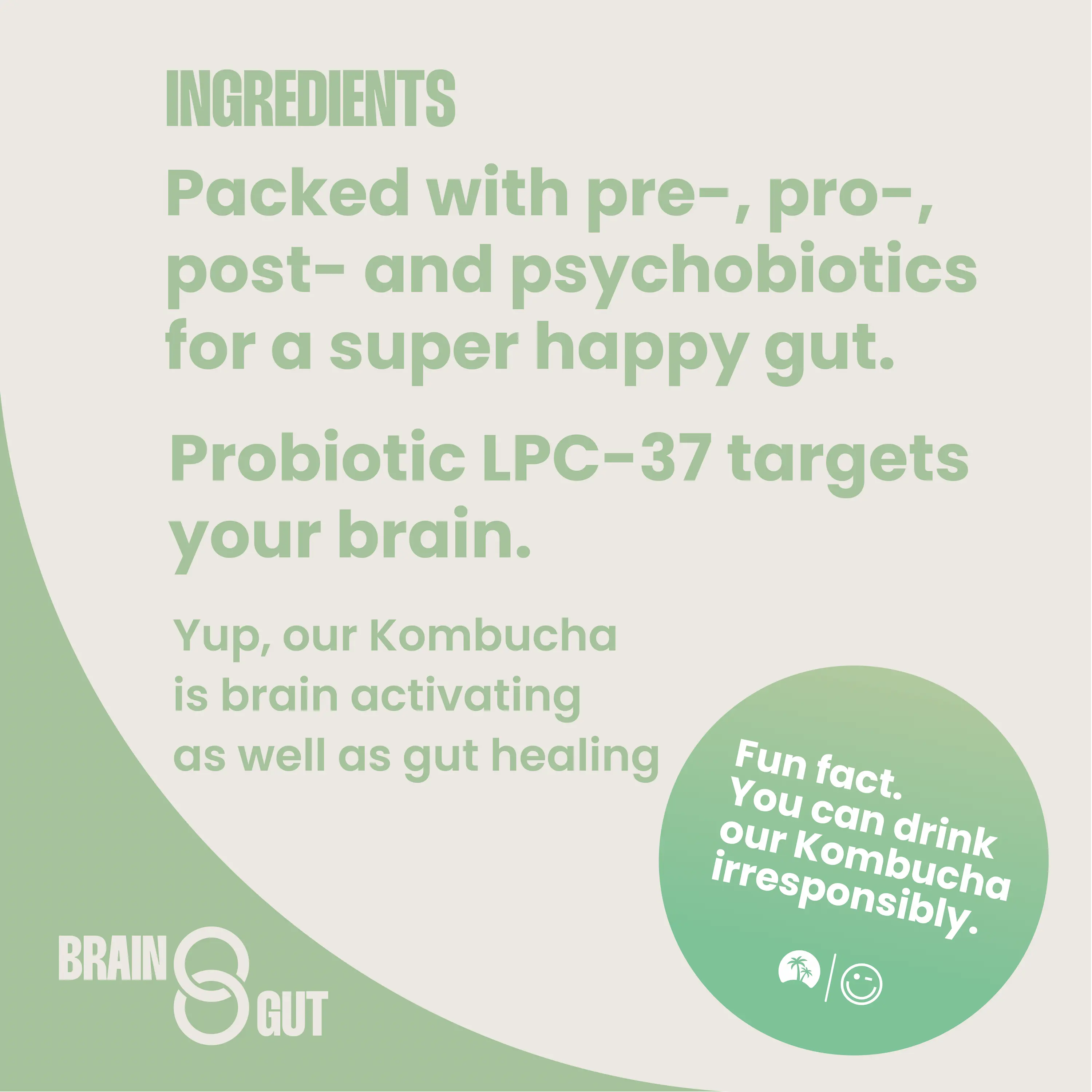 Fresh Kombucha - Image 5