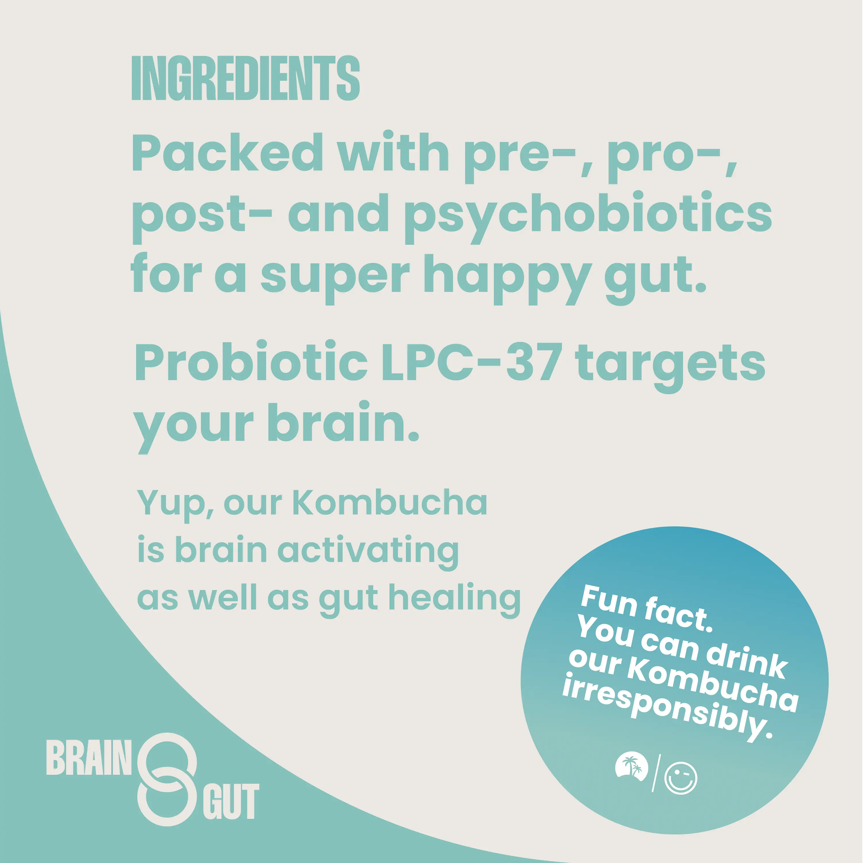 Light Kombucha - Image 5