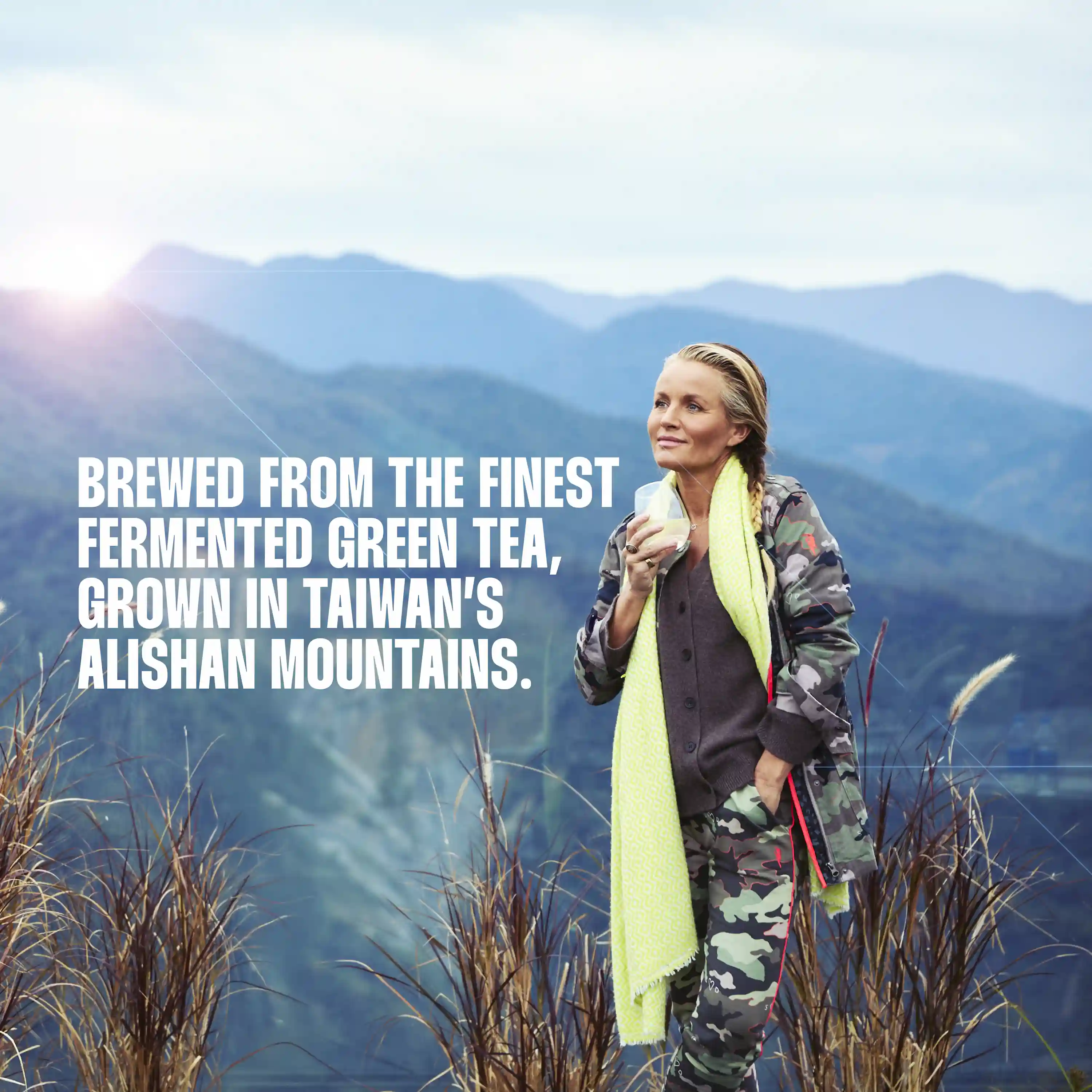 Light Kombucha - Image 6