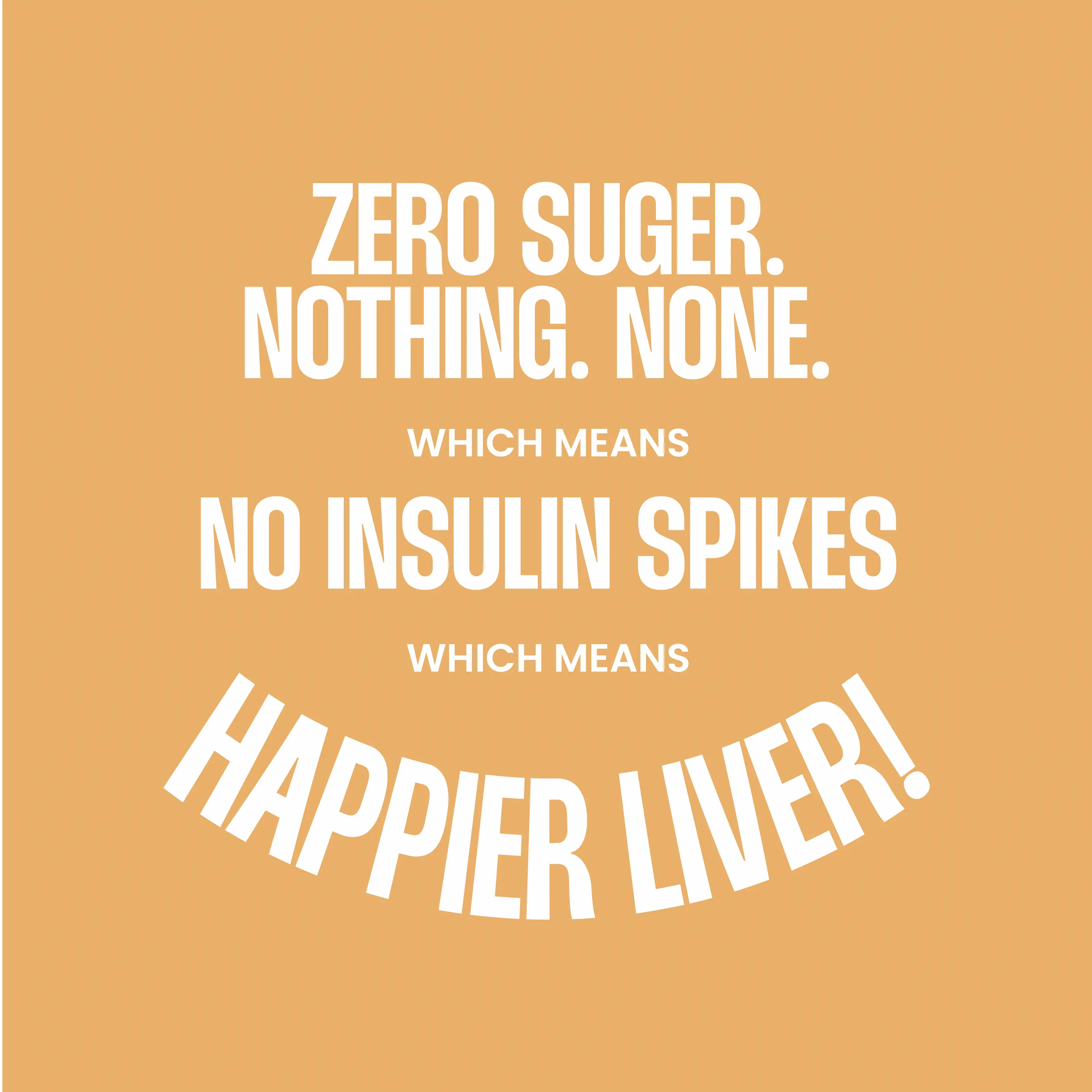 Warm Kombucha - Image 4