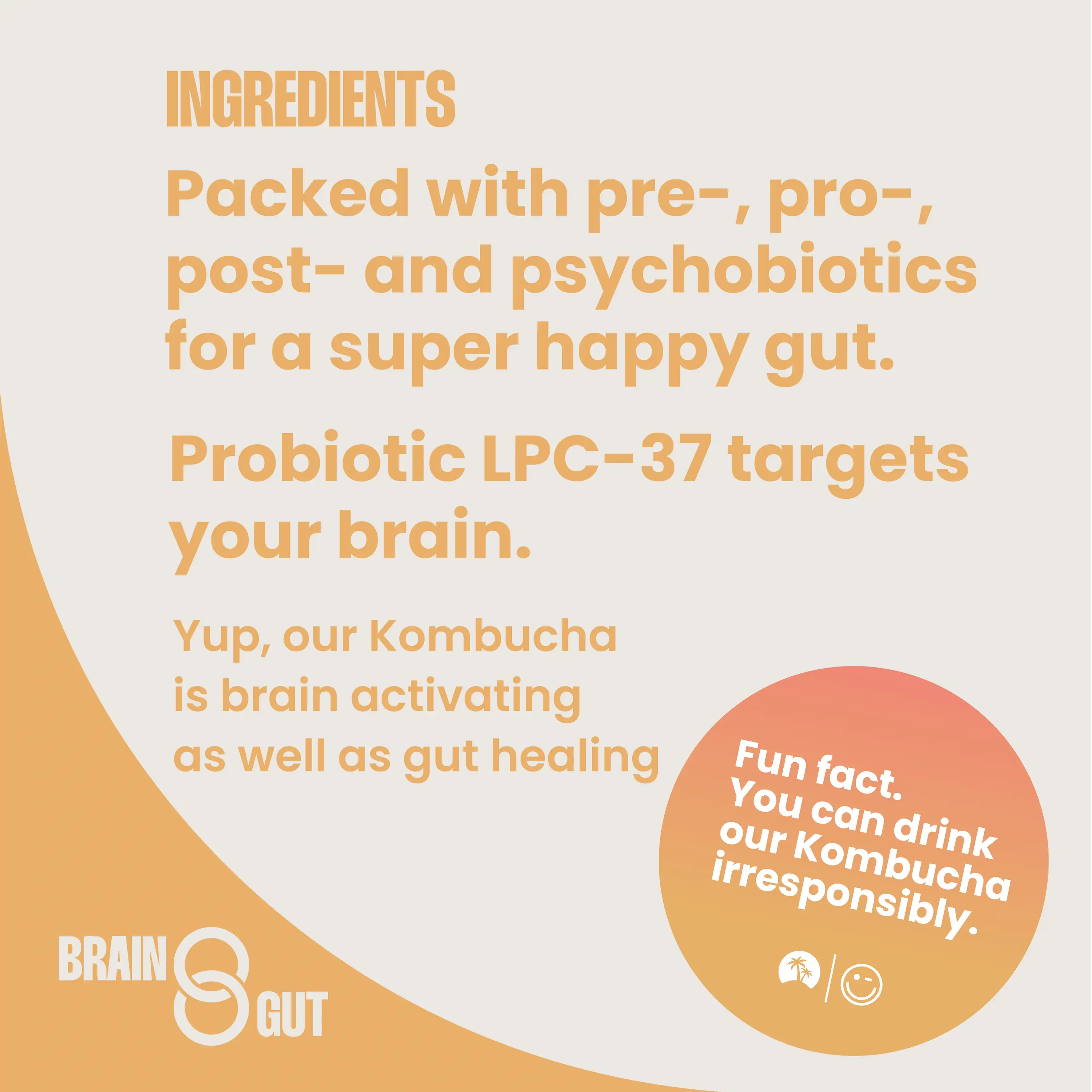 Warm Kombucha - Image 5