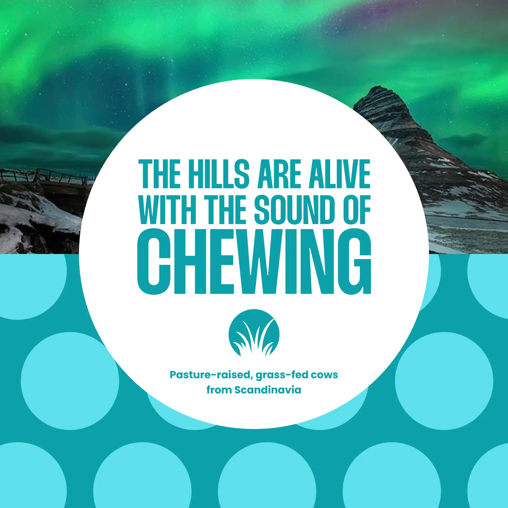 Vanilla Keto Protein Powder - Image 4