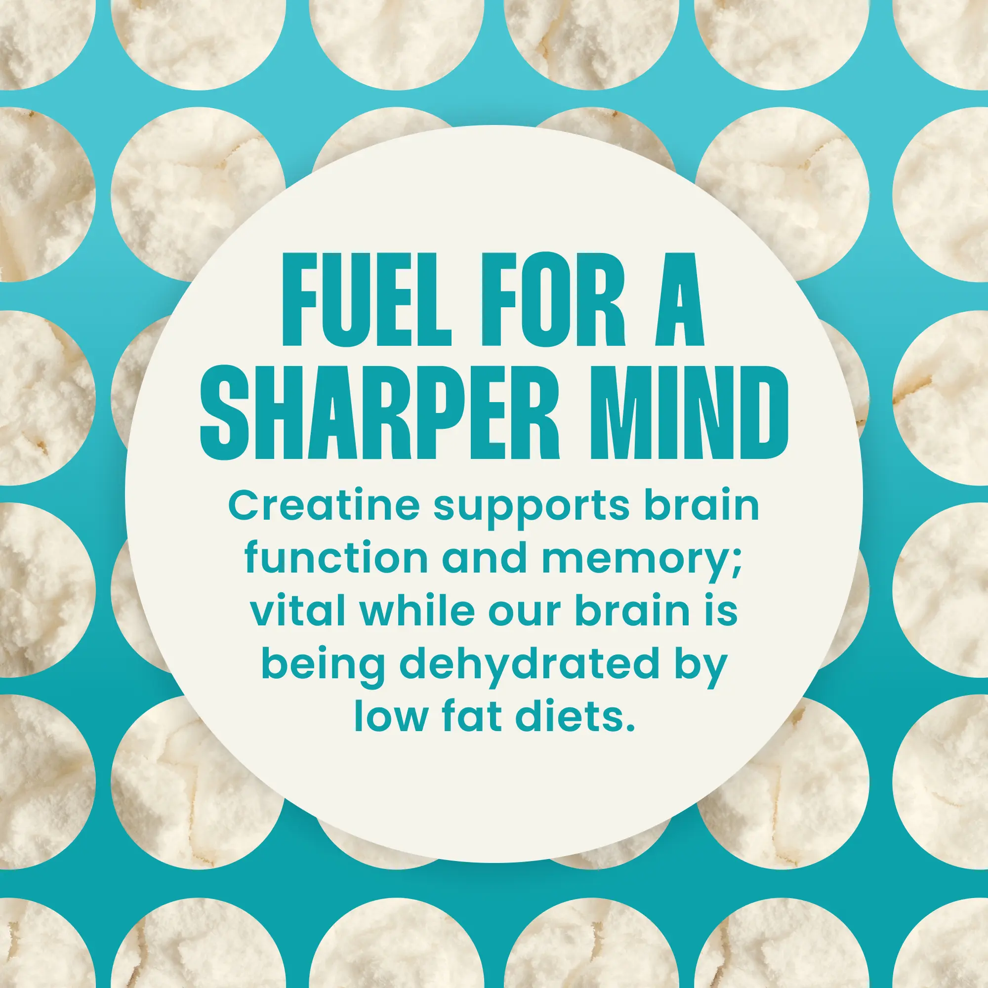 Vanilla Protein Powder with Shilajit and Monocreatine - Image 7